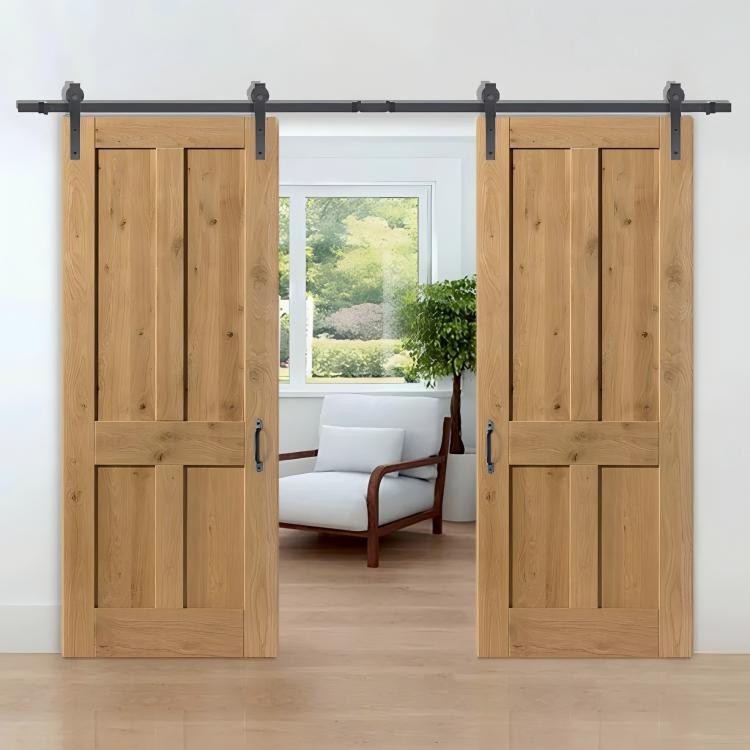 Double barn door
